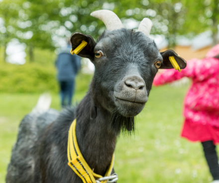 7th December 2026
